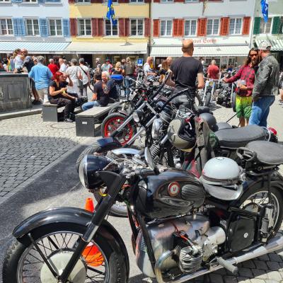 Bighillwillisau 6