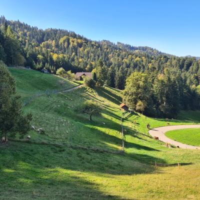 Ausfahrt 11 Oktober 12